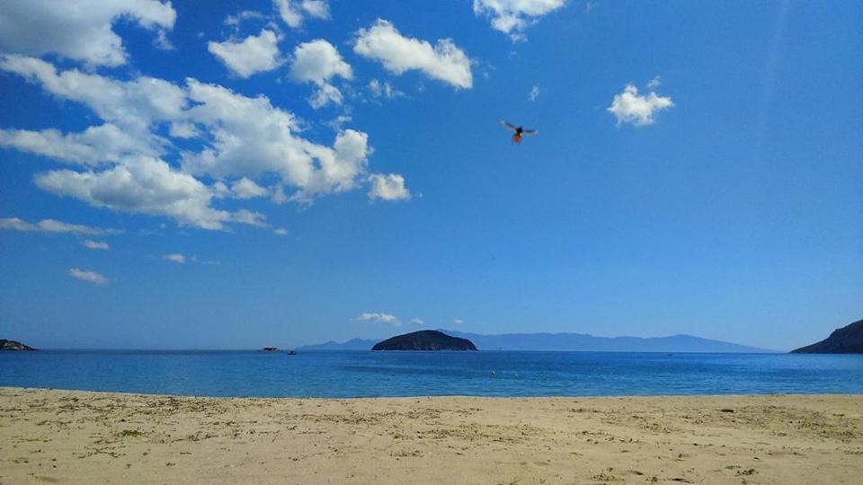 Apartament Sea And Joy Nea Iraklitsa Zewnętrze zdjęcie